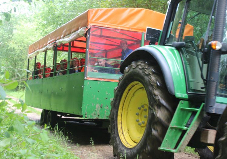 tractor and trailer ride, open day, base camp, farm, field, nursery, greatwoodfarm, boothby pagnell, woods 