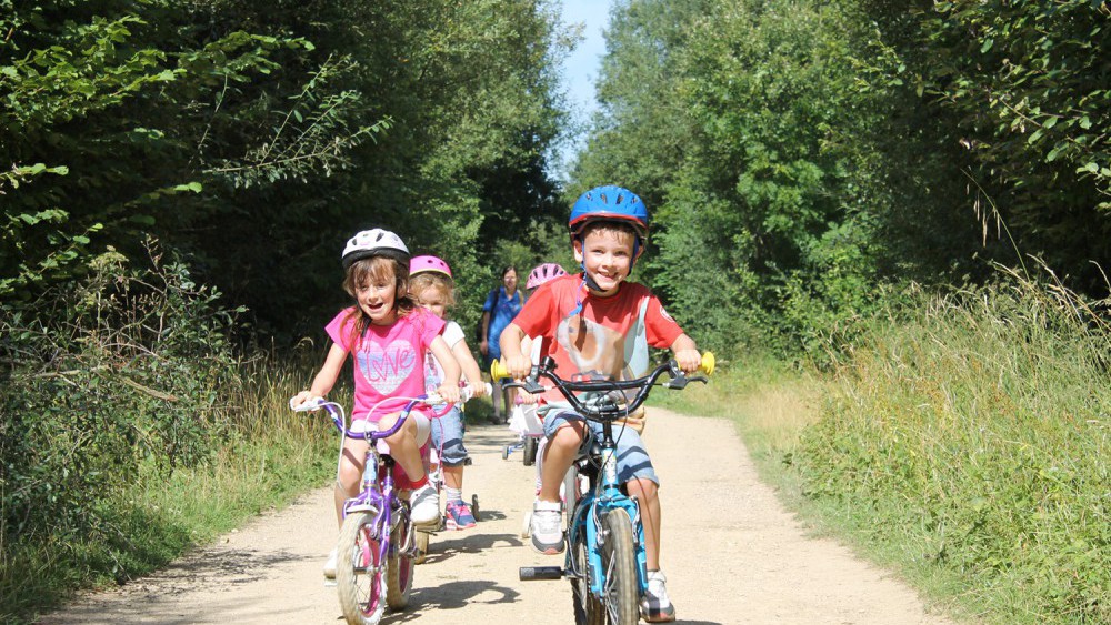 bike ride in the woods