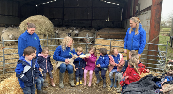 bottle feeding lamb