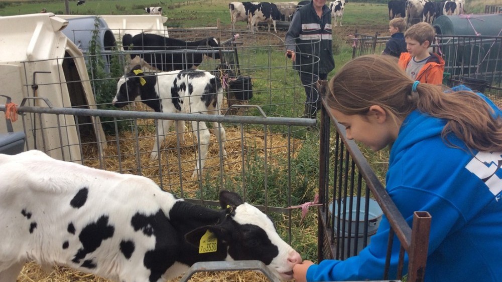 dairy trip with Rangers