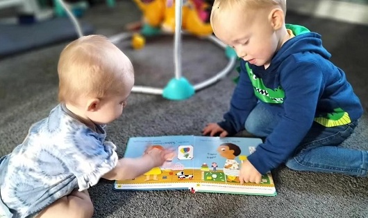 toilet training, flash cards, potty