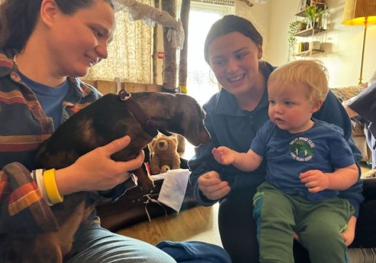 children petting dog