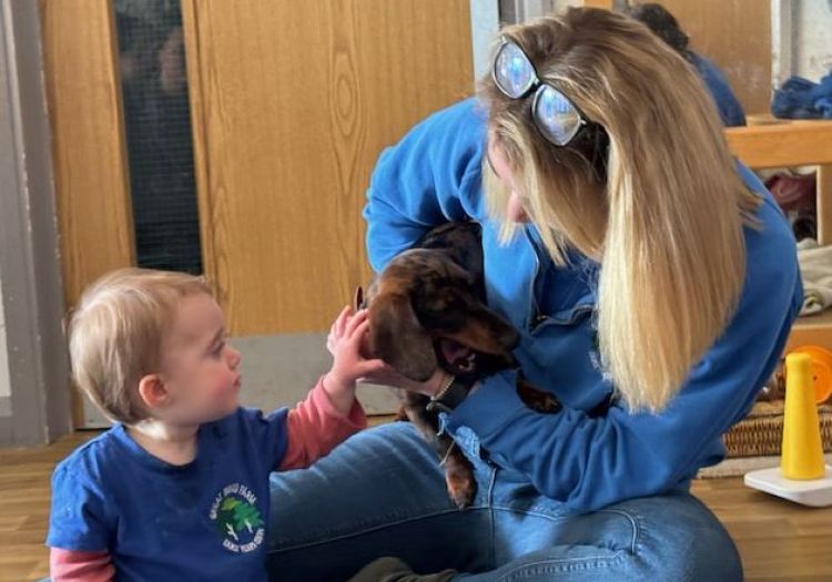 children petting dog