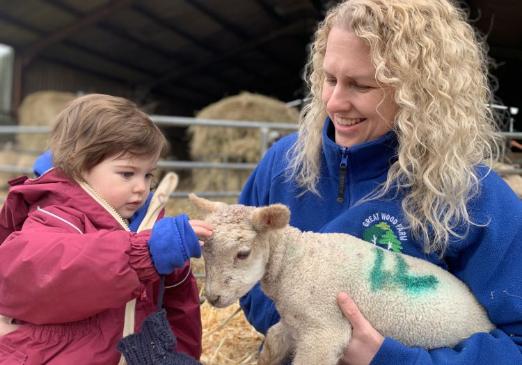 baby stroking a newborn lamb