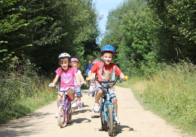 bike ride in the woods