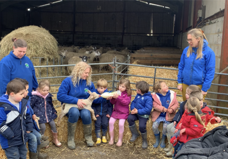 bottle feeding lamb