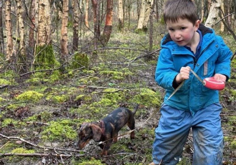 boy walking dog Dachshund