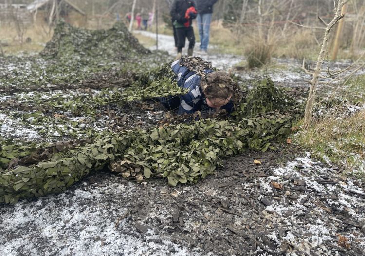 camouflage net
