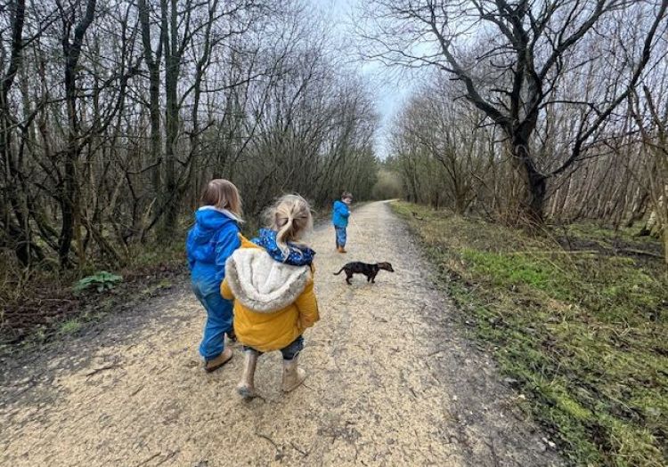 children walking dog Dachshund
