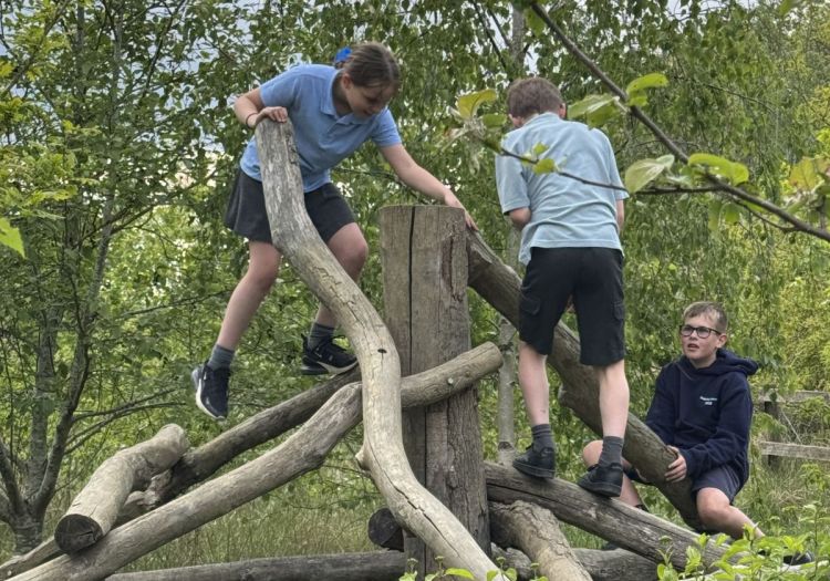 woodland climbing structure
