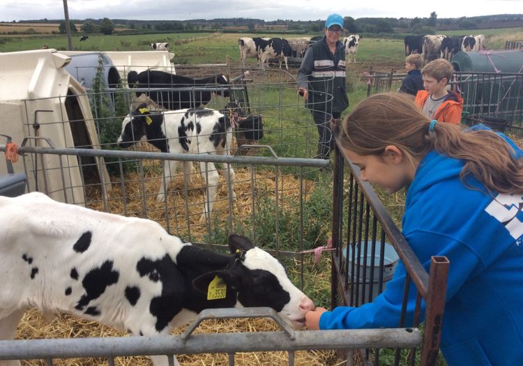 dairy trip with Rangers