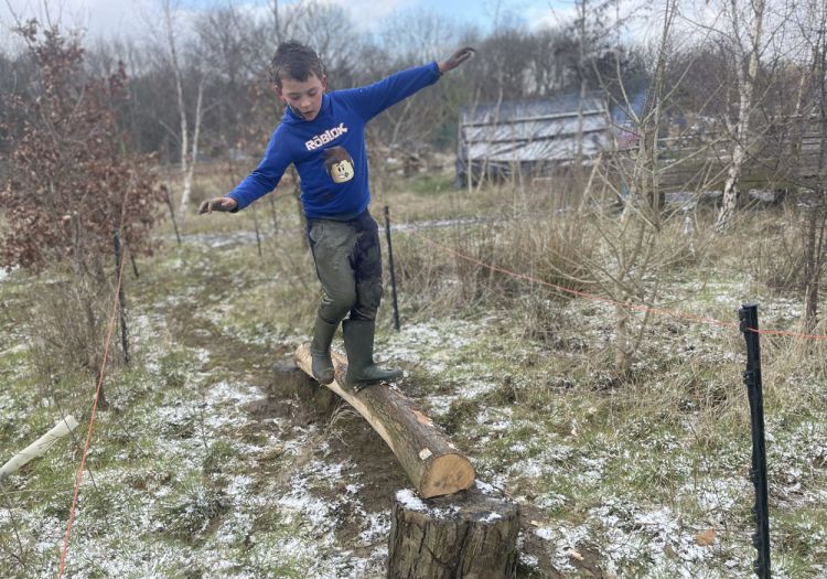 balancing log