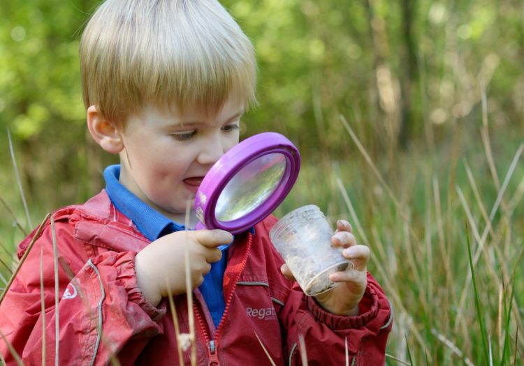 pre-school child minibeast hunting on forest school