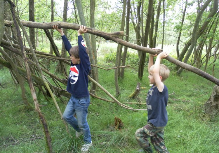 den building team work