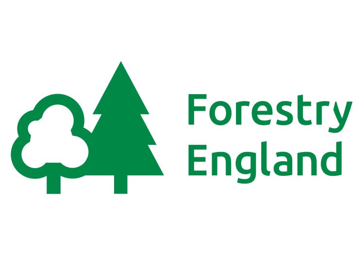 Forestry England