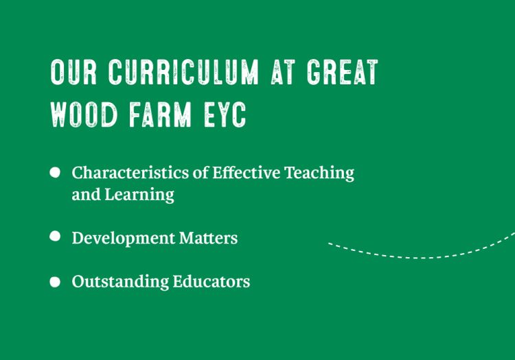 Our curriculum