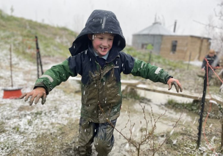 muddy child
