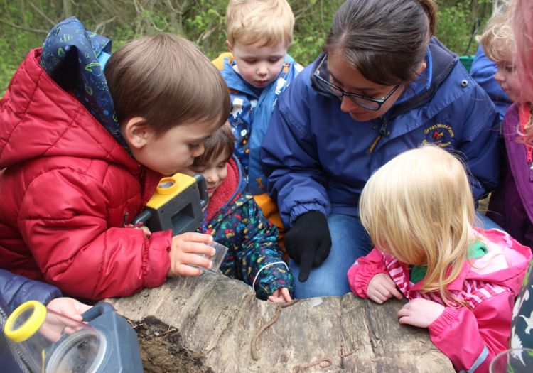 Forest School, 10 years, outdoor learning, bug hunting