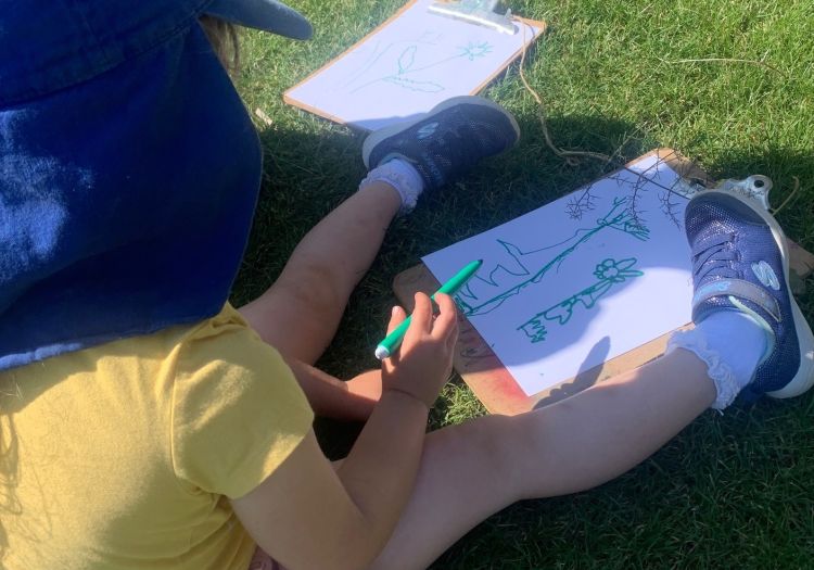 observational drawing