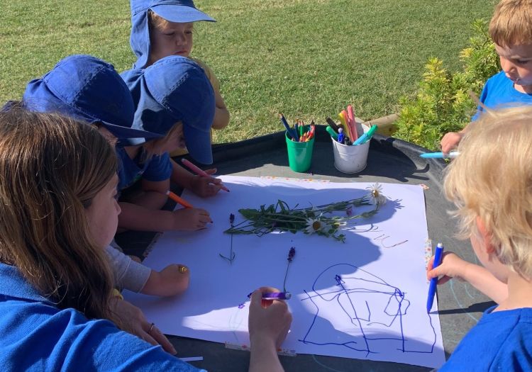 observational drawing