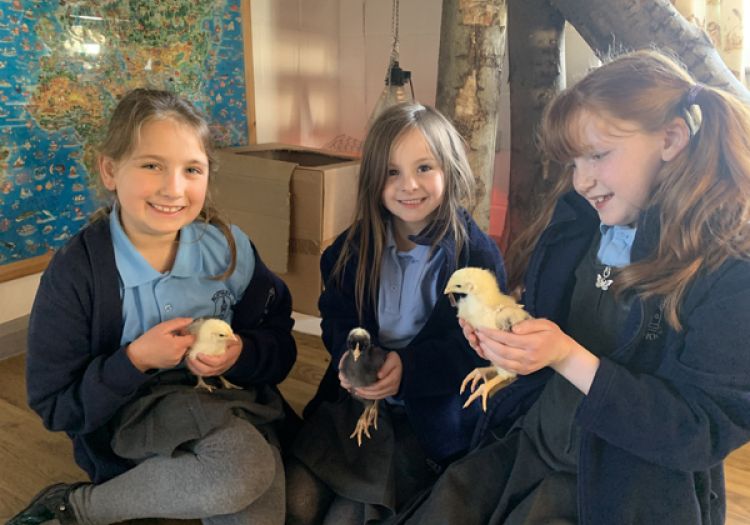 out of school club holding chick