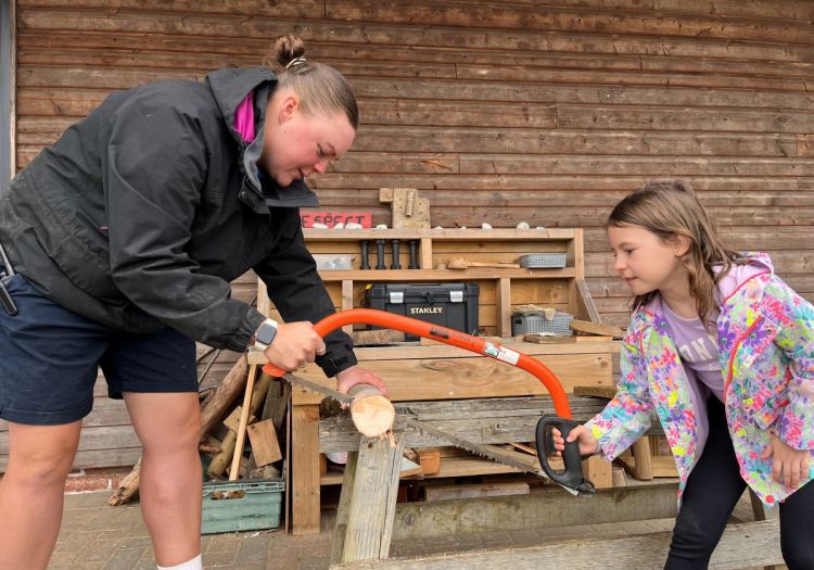 sawing wood cookies holiday club