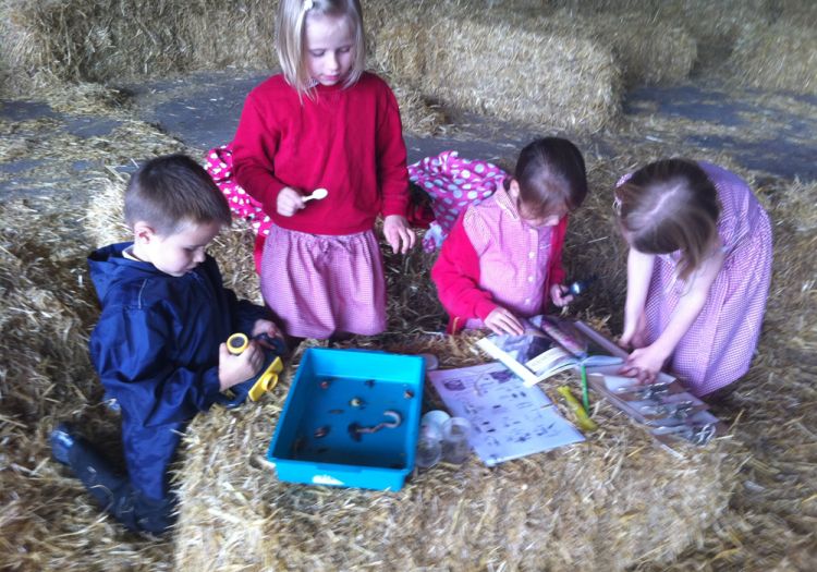 school trip minibeast hunting