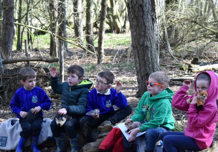 woodland habitats trip