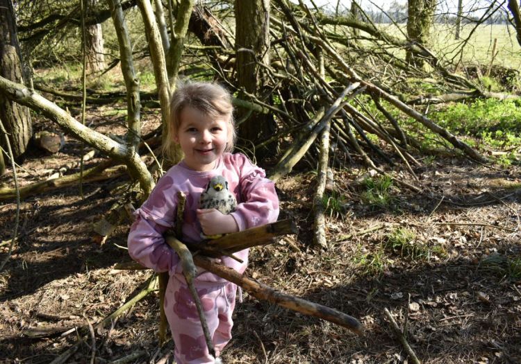 woodland habitats trip