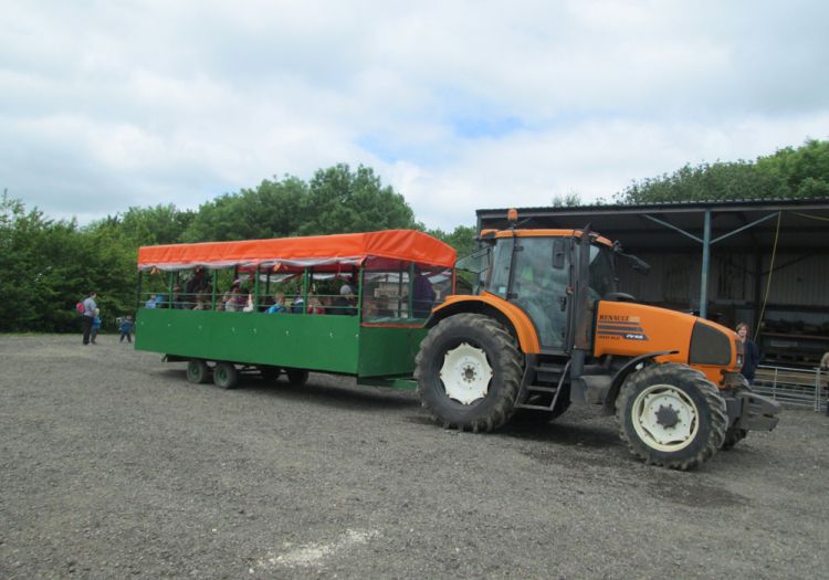 Tractor and trailer ride