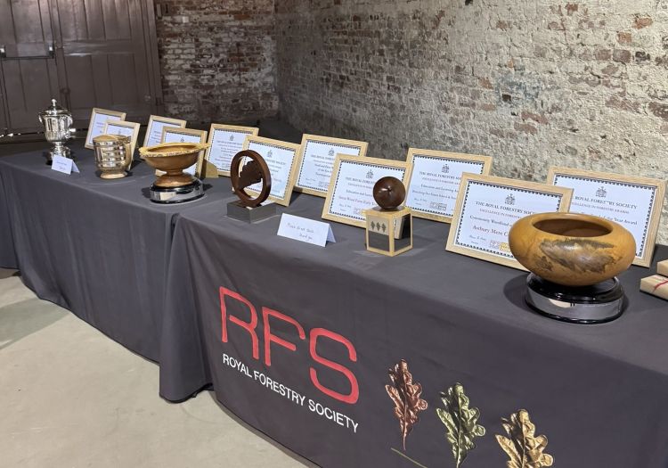 excellence in forestry trophies