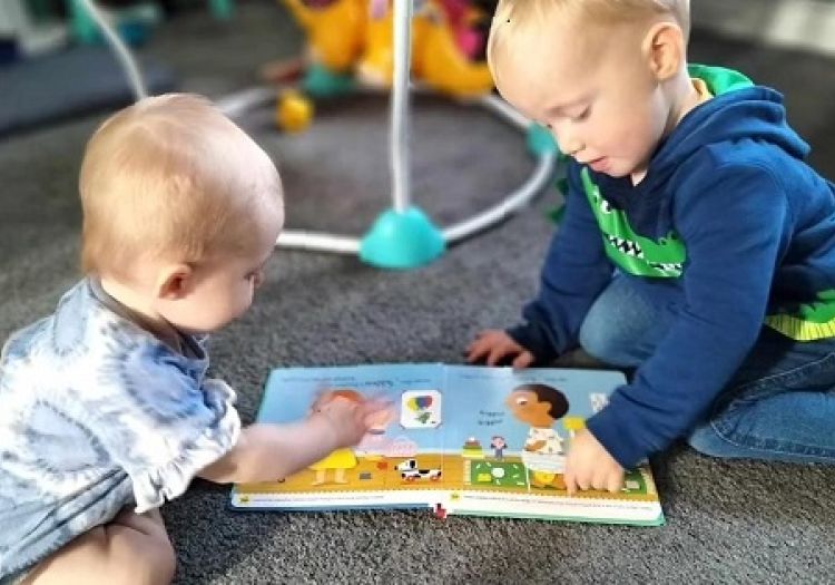 toilet training, flash cards, potty