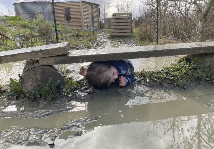 fun mudder challenge