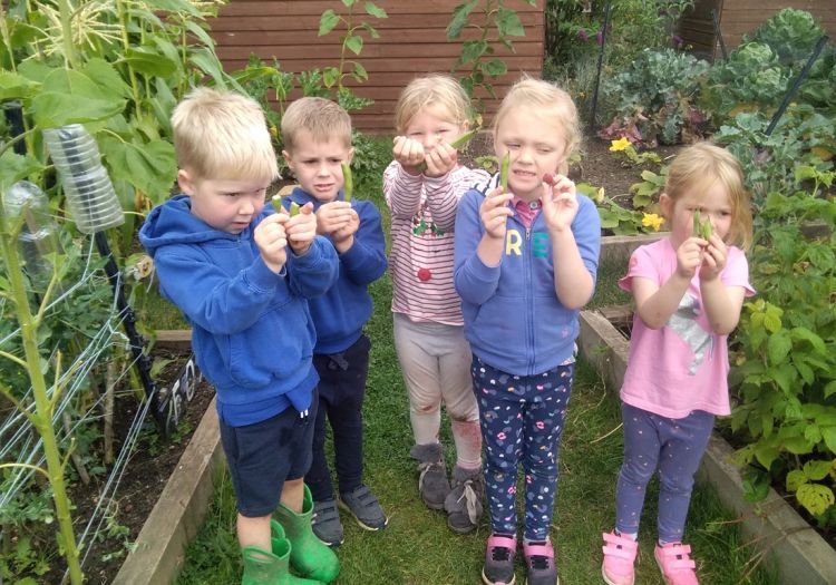 helping in the vegetable patch