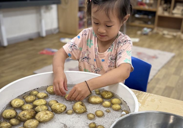 washing potatoes