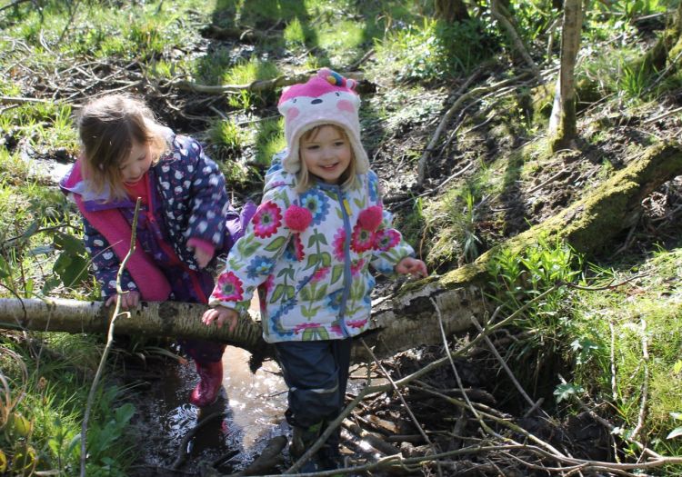 pre-school children exploring in a small stream